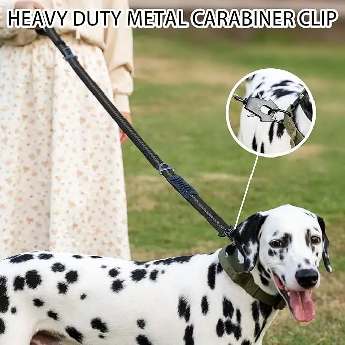 Reflective FlexControl Dual-Handle Dog Leash with Bungee & Seat Belt Clip Green