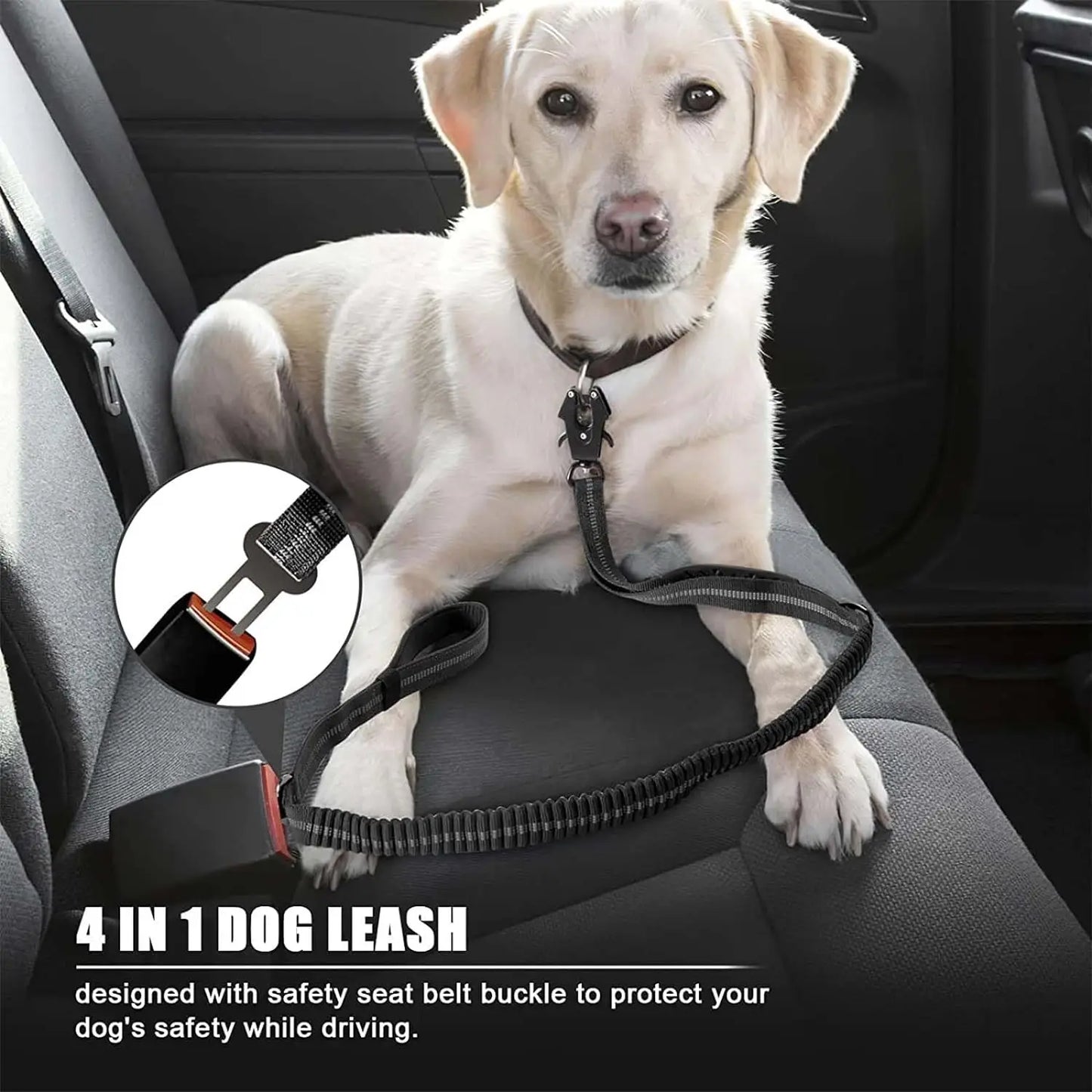 Reflective FlexControl Dual-Handle Dog Leash with Bungee & Seat Belt Clip